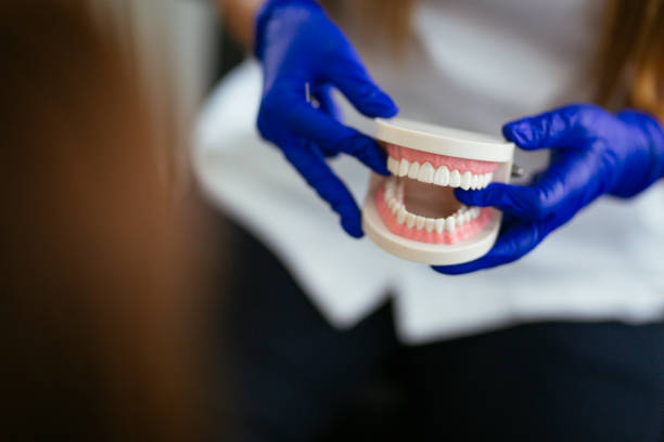 Tichigan, WI Holistic Dental Care Services Company